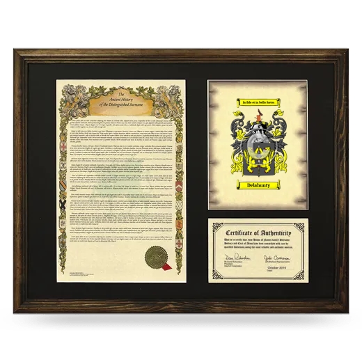 Delahunty Framed Surname History and Coat of Arms - Brown
