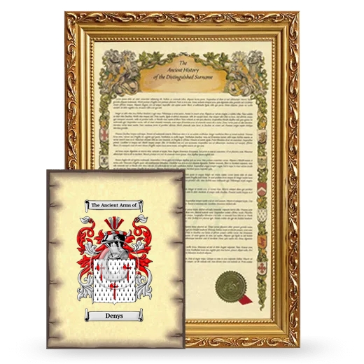 Denys Framed History and Coat of Arms Print - Gold