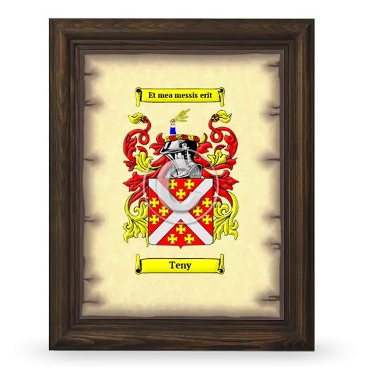 Teny Coat of Arms Framed - Brown