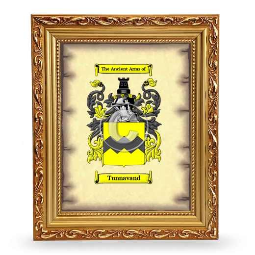 Tunnavand Coat of Arms Framed - Gold