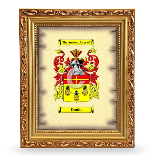 Donio Coat of Arms Framed - Gold