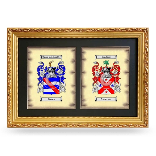 Double Coat of Arms Framed - Gold