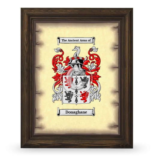 Donaghane Coat of Arms Framed - Brown