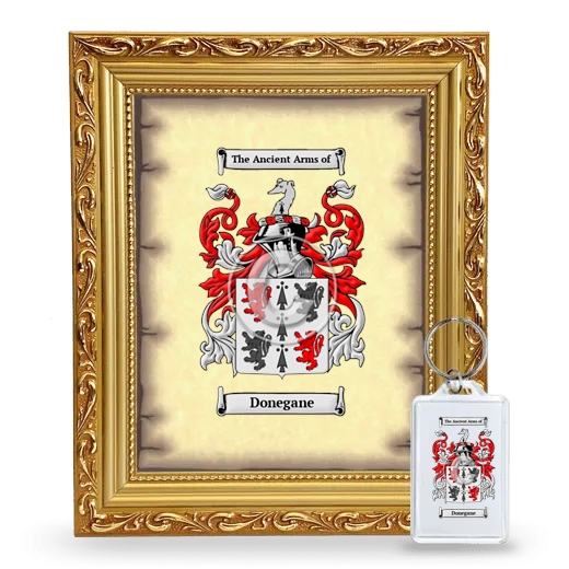 Donegane Framed Coat of Arms and Keychain - Gold