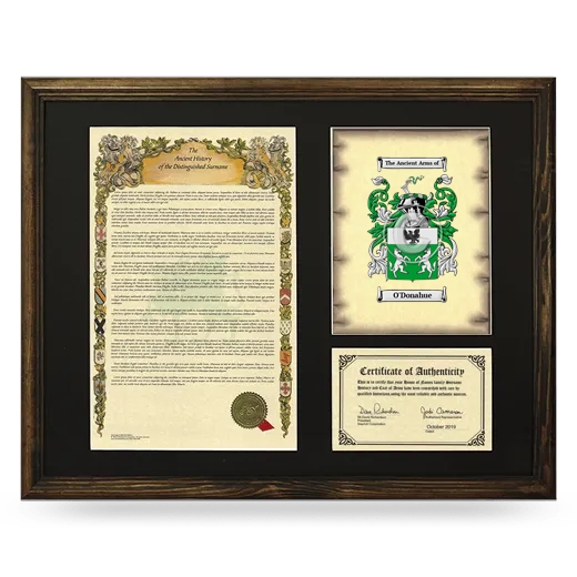 O'Donahue Framed Surname History and Coat of Arms - Brown