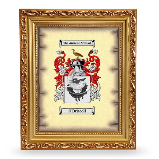 O'Driscoll Coat of Arms Framed - Gold