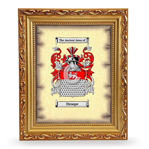 Droope Coat of Arms Framed - Gold