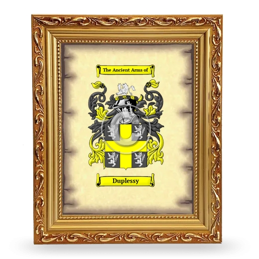Duplessy Coat of Arms Framed - Gold