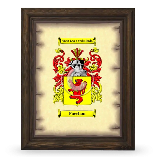 Puechon Coat of Arms Framed - Brown