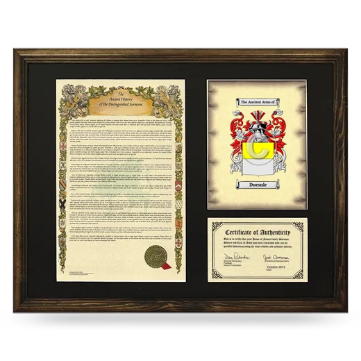 Duesnle Framed Surname History and Coat of Arms - Brown