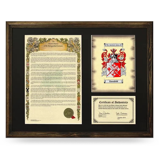 Eisenfeld Framed Surname History and Coat of Arms - Brown