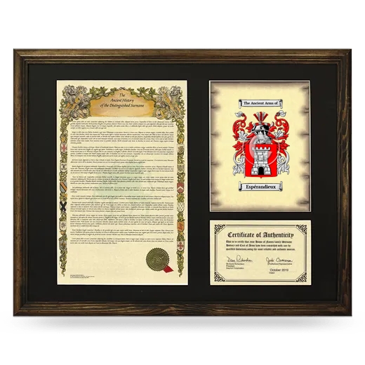 Espérandieux Framed Surname History and Coat of Arms - Brown