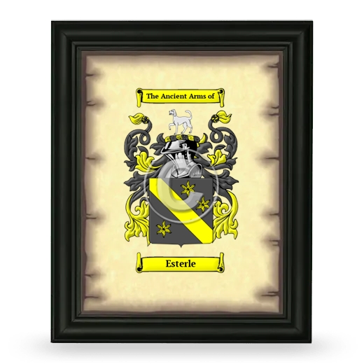 Esterle Coat of Arms Framed - Black