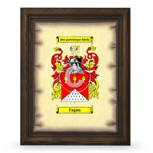 Fagan Coat of Arms Framed - Brown