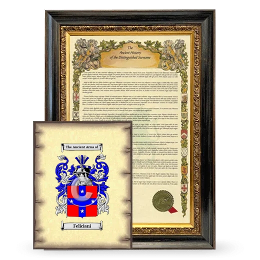 Feliciani Framed History and Coat of Arms Print - Heirloom