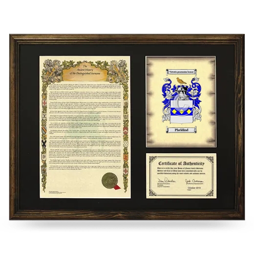 Pheldind Framed Surname History and Coat of Arms - Brown