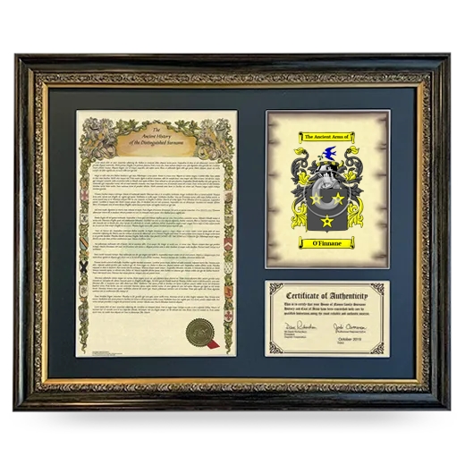 O'Finnane Framed Surname History and Coat of Arms- Heirloom