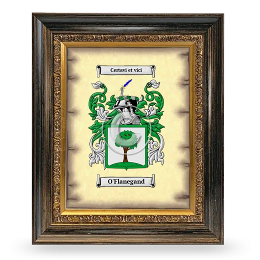 O'Flanegand Coat of Arms Framed - Heirloom