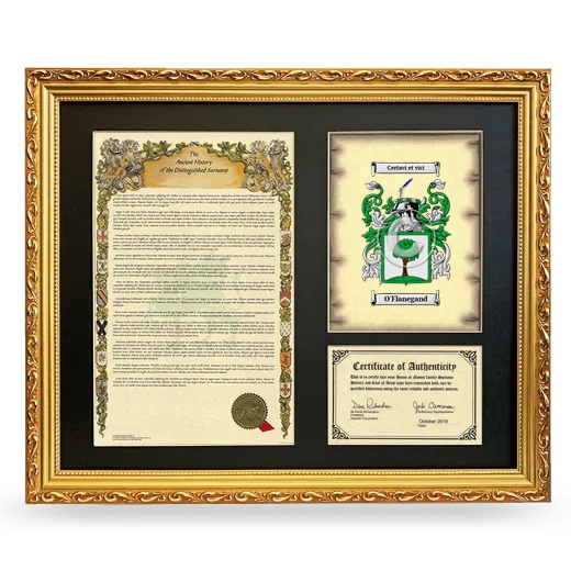 O'Flanegand Framed Surname History and Coat of Arms- Gold