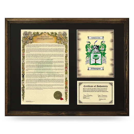 O'Flanegant Framed Surname History and Coat of Arms - Brown