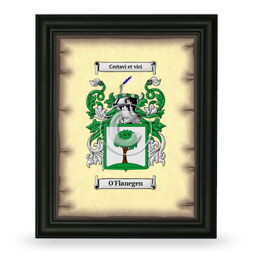 O'Flanegen Coat of Arms Framed - Black