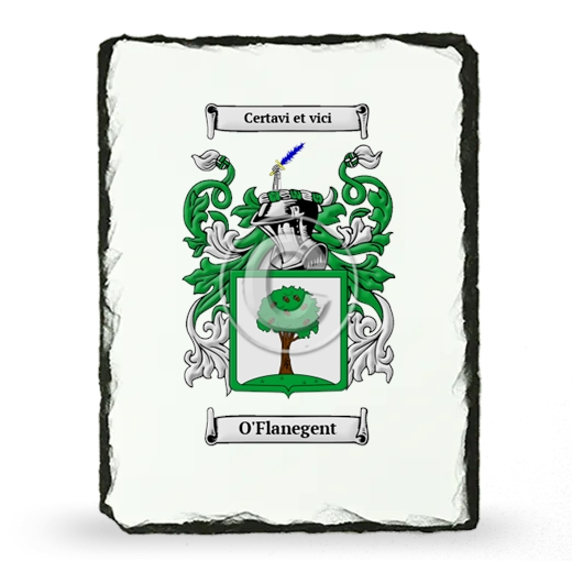 O'Flanegent Coat of Arms Slate