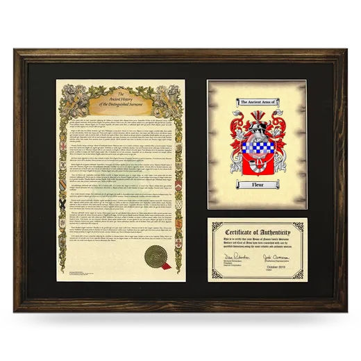 Fleur Framed Surname History and Coat of Arms - Brown