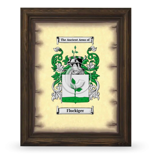 Fluckiger Coat of Arms Framed - Brown