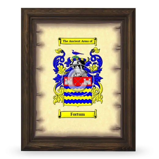 Fortum Coat of Arms Framed - Brown