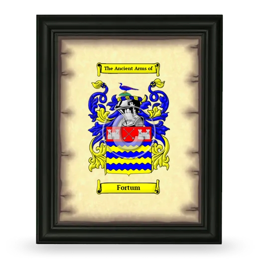 Fortum Coat of Arms Framed - Black