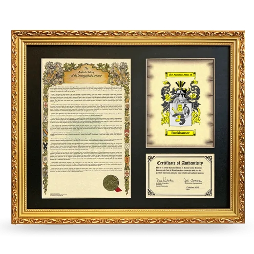 Funkhauser Framed Surname History and Coat of Arms- Gold