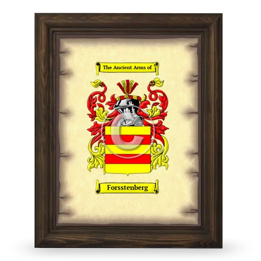 Forsstenberg Coat of Arms Framed - Brown