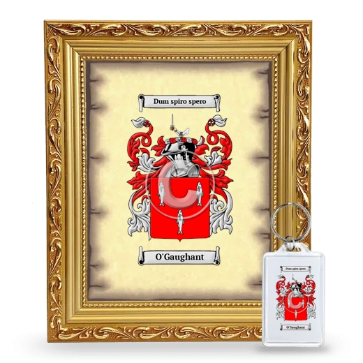 O'Gaughant Framed Coat of Arms and Keychain - Gold