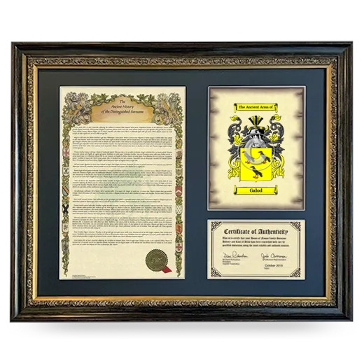 Galod Framed Surname History and Coat of Arms- Heirloom