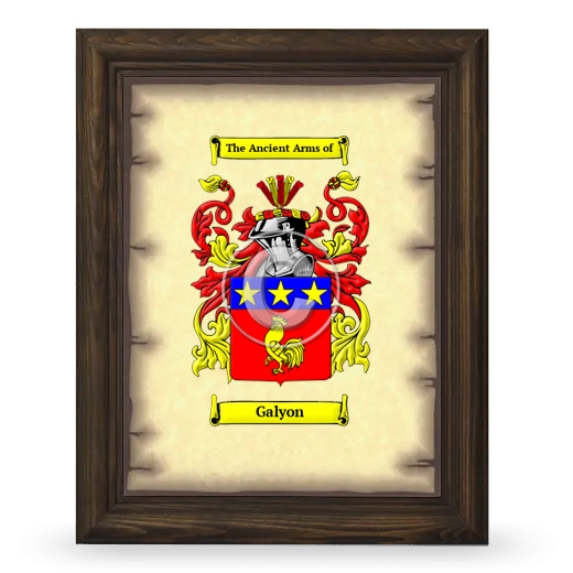 Galyon Coat of Arms Framed - Brown