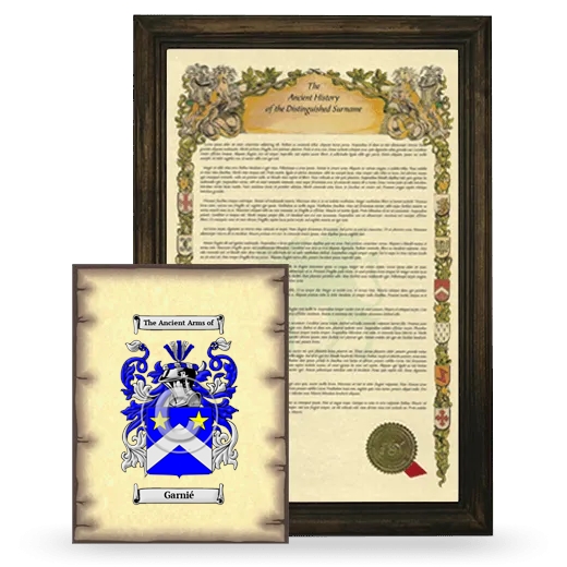 Garnié Framed History and Coat of Arms Print - Brown