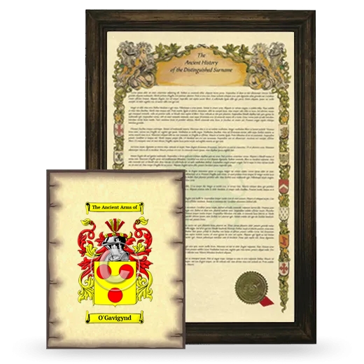 O'Gavigynd Framed History and Coat of Arms Print - Brown