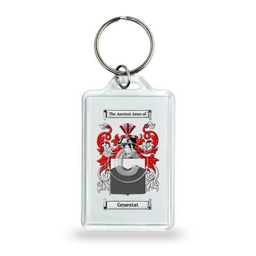 Genestat Keychain