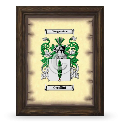 Gerollini Coat of Arms Framed - Brown