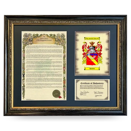 Iacovo Framed Surname History and Coat of Arms- Heirloom