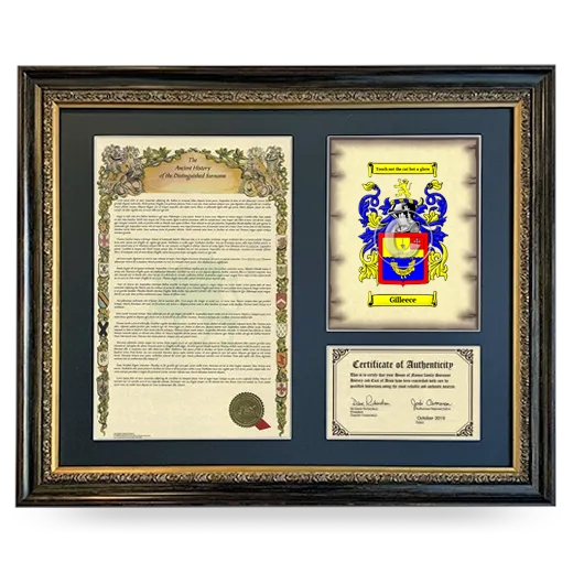 Gilleece Framed Surname History and Coat of Arms- Heirloom