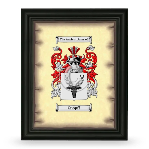 Gnöpff Coat of Arms Framed - Black