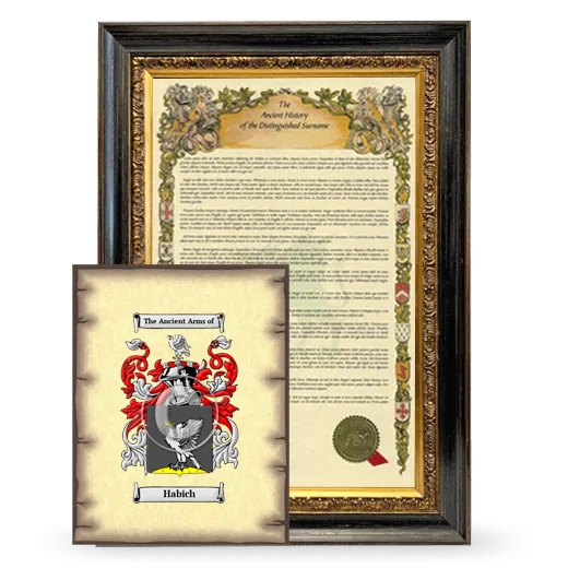 Habich Framed History and Coat of Arms Print - Heirloom