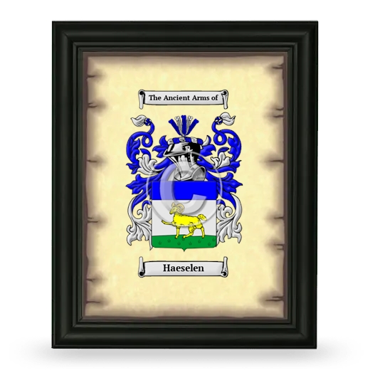 Haeselen Coat of Arms Framed - Black