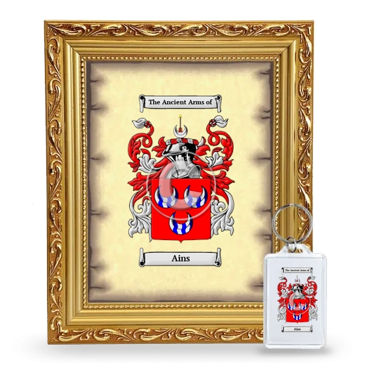 Ains Framed Coat of Arms and Keychain - Gold