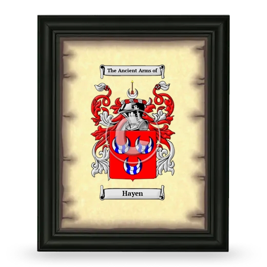 Hayen Coat of Arms Framed - Black