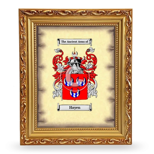 Hayen Coat of Arms Framed - Gold