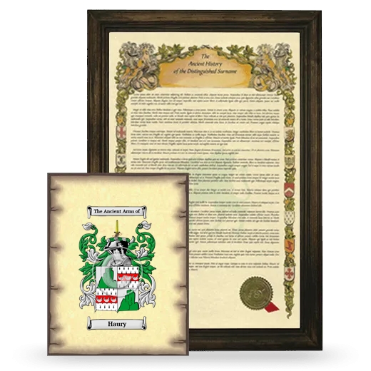 Haury Framed History and Coat of Arms Print - Brown
