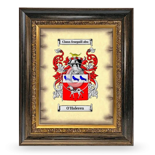 O'Haleren Coat of Arms Framed - Heirloom