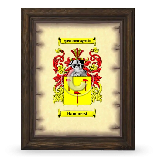 Hammerst Coat of Arms Framed - Brown